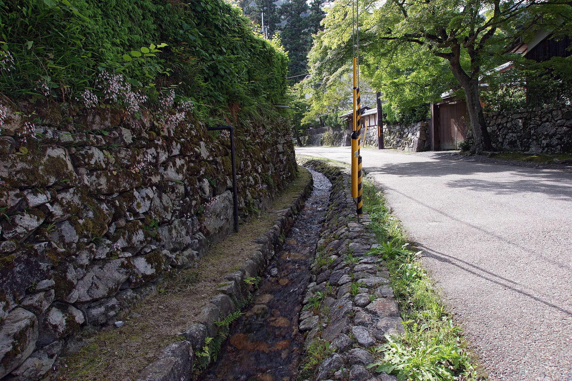 坂本の夏の風景
